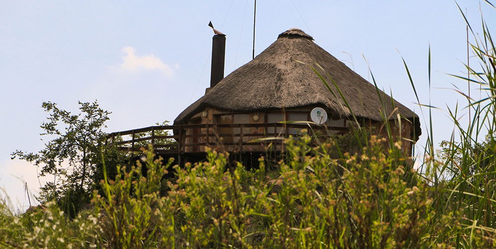 Thatched accommodation