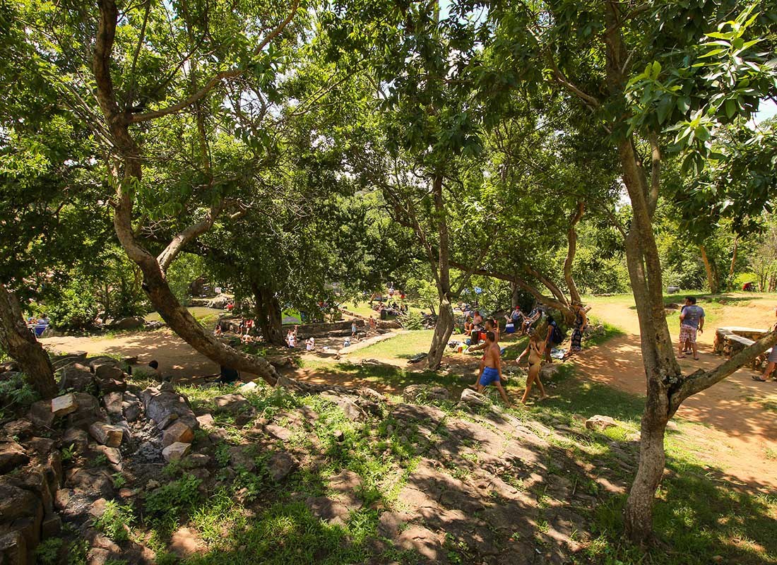 Shaded picnic grounds