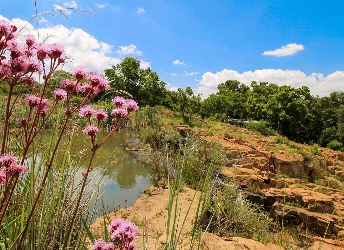 Flowers beside the river