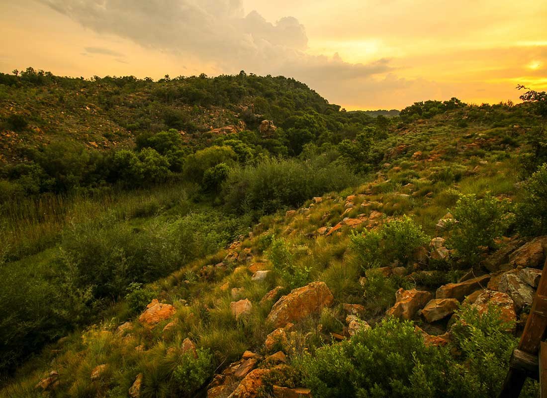 The surrounding hills