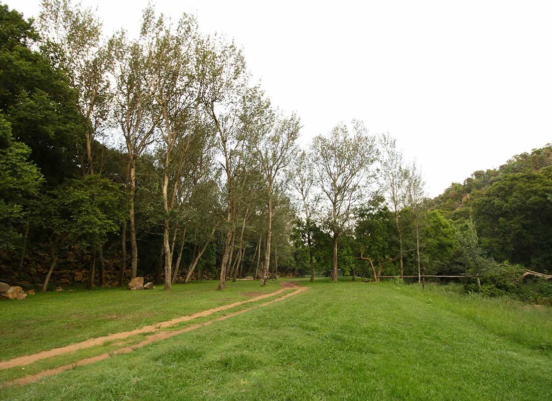On-site caravan hire — resort photograph