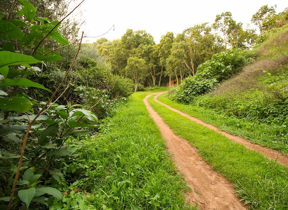Bushcamp — resort photograph