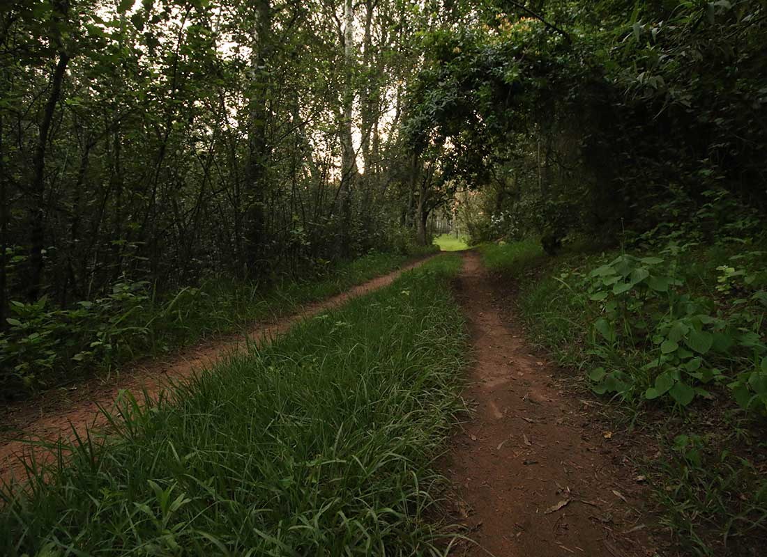 A quiet stretch of the river